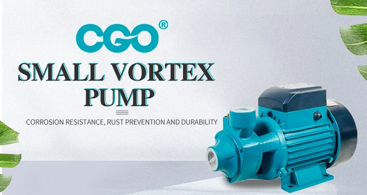 Popular High Performance 0.5HP Small Size Home Use Qb60 Vortex Water Pumps High Head Booster Clean Water Pump